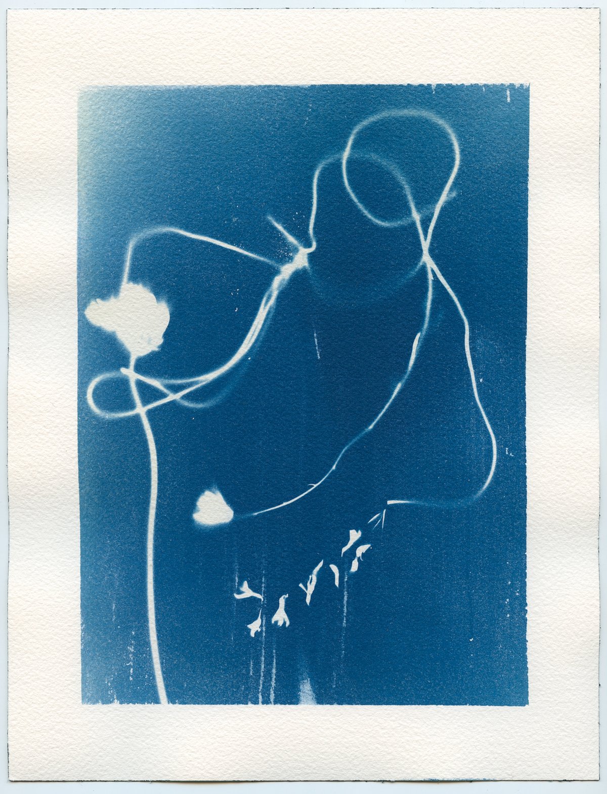 A cyanotype with a white border: a long looping string and a flower stem tangled across deep blue.