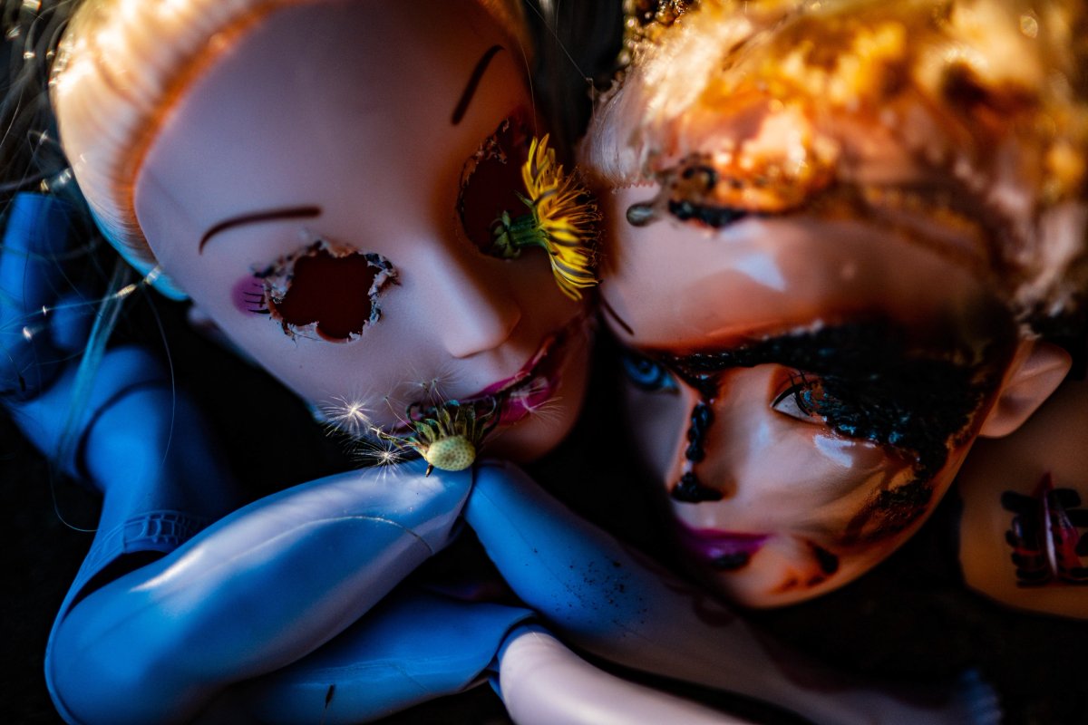 Two burned doll heads pressed cheek to cheek, a dandelion in one empty eye.
