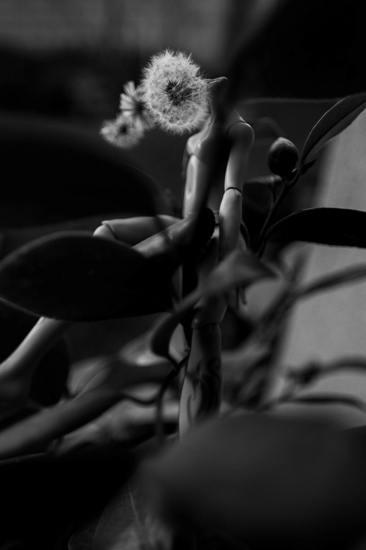 A doll climbs through dark leaves, a dandelion seed head for its head.