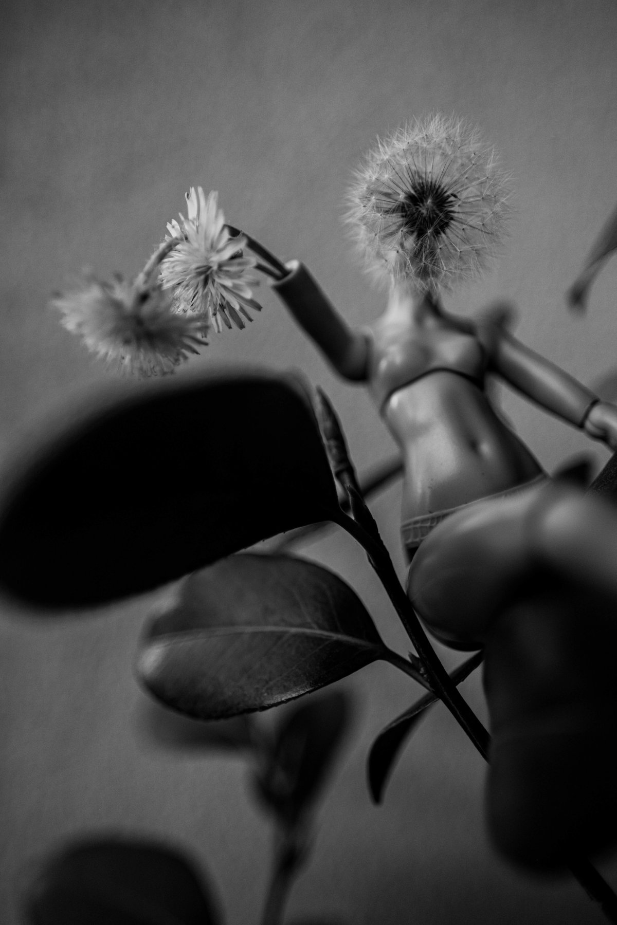 A headless doll stands among leaves with a dandelion seed head in place of its head.