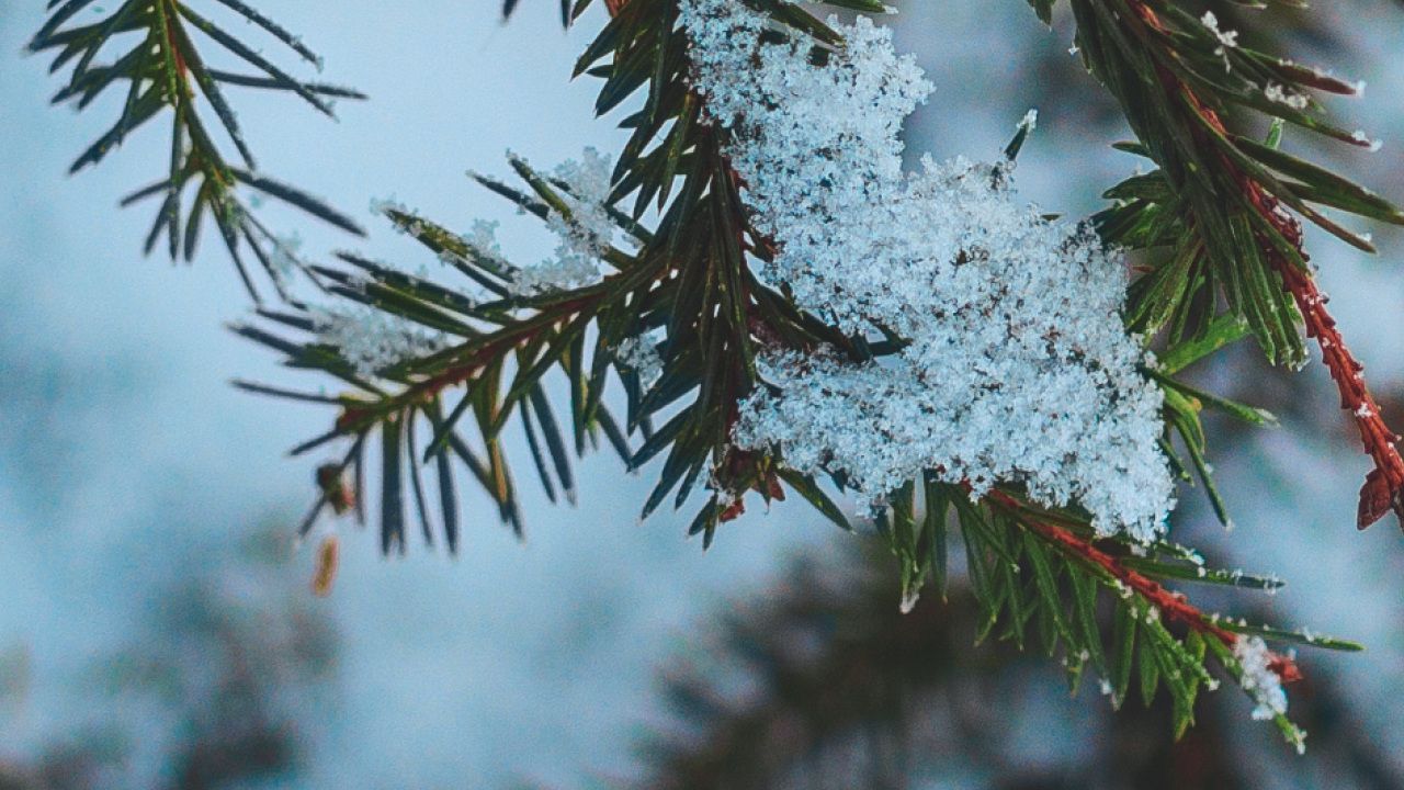 A Finnish energy company making everyday living more sustainable