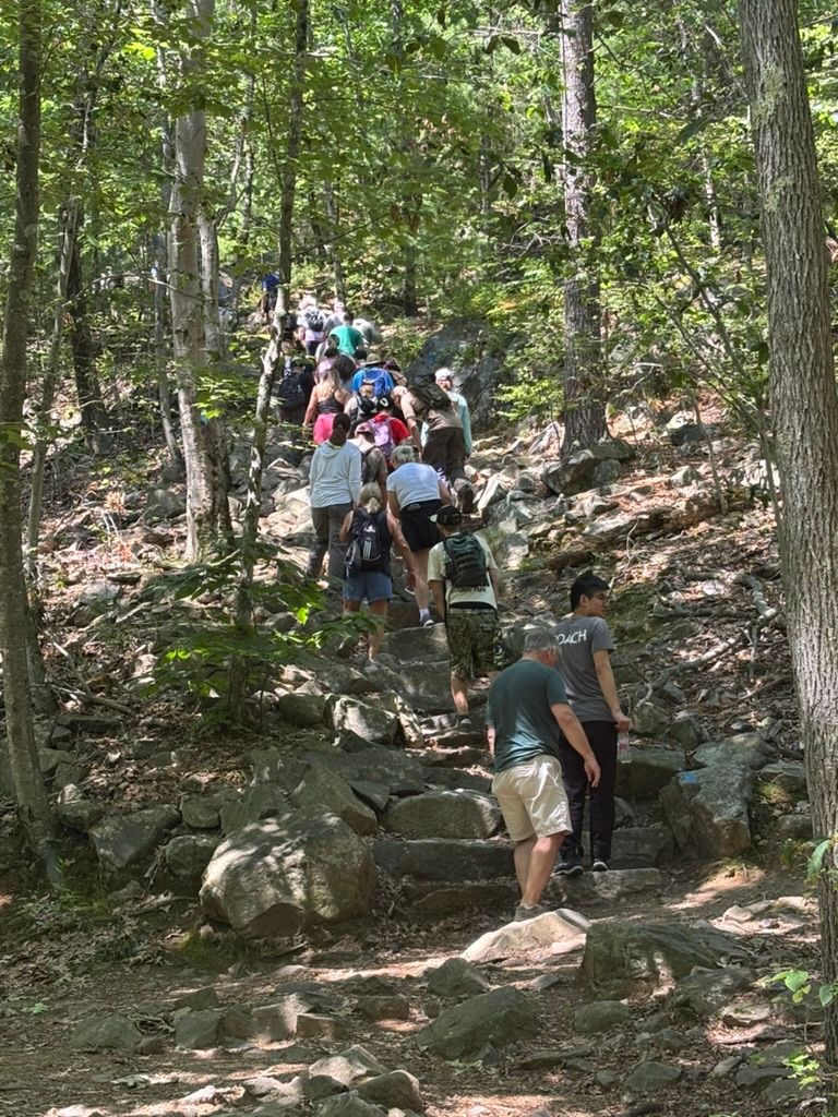 Image of people hiking from behind.