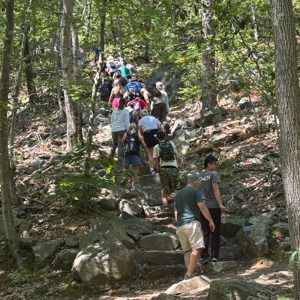Image of people hiking from behind.