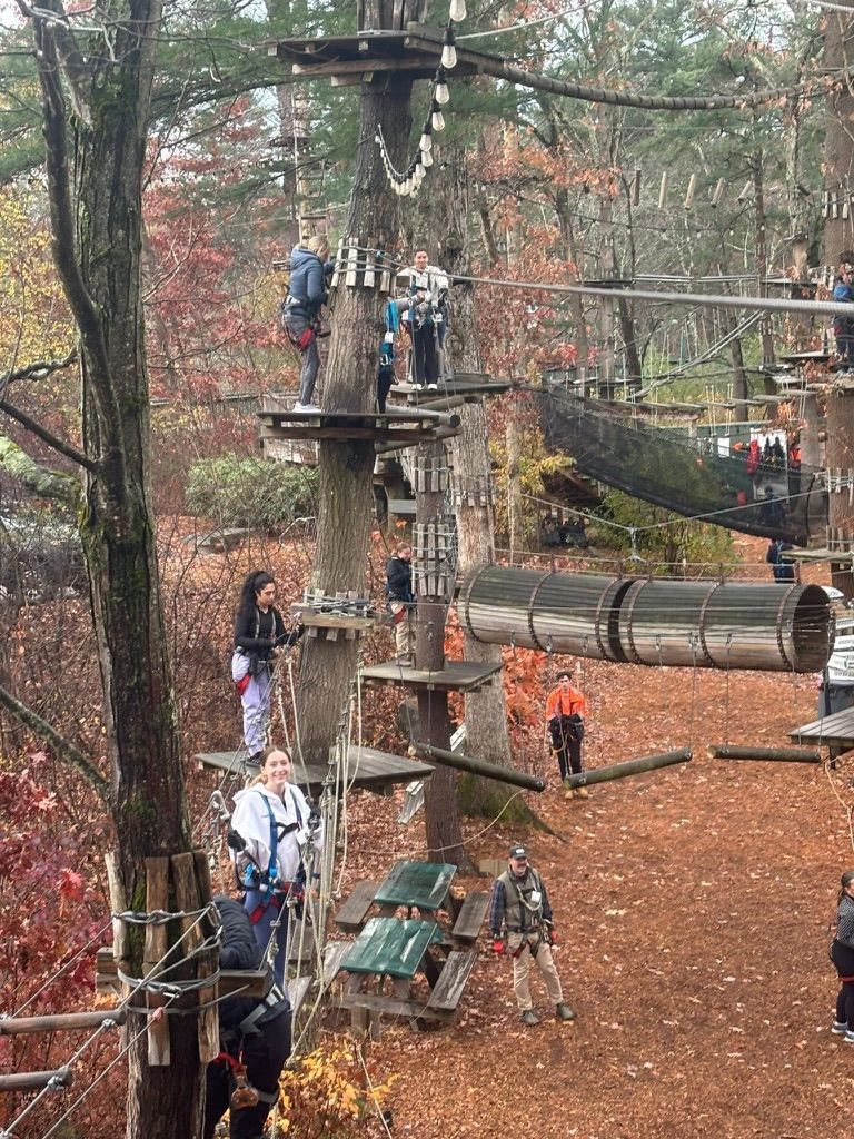 Group of people ziplining.