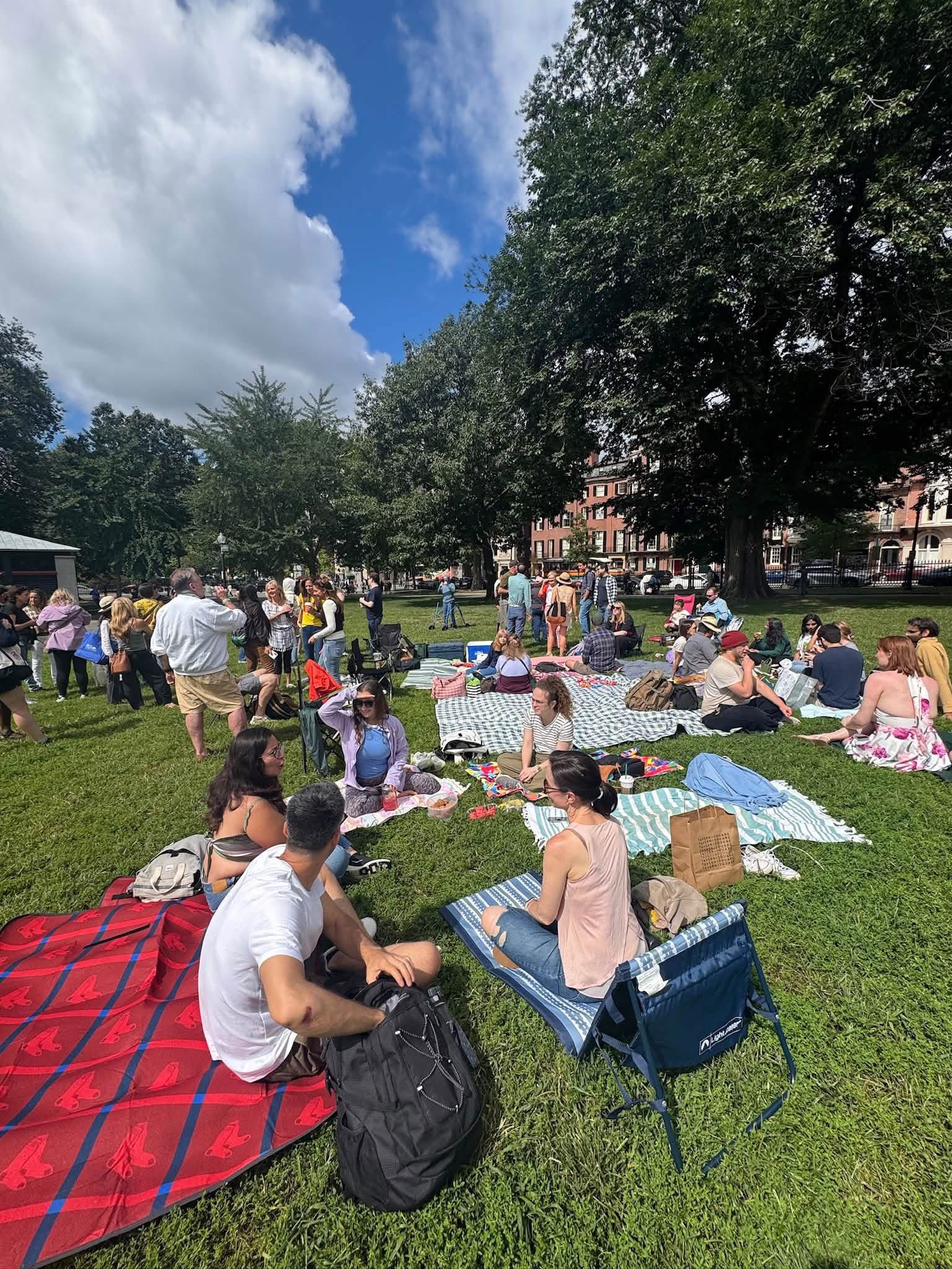 Group of people actively picnicing on the Boston Common.