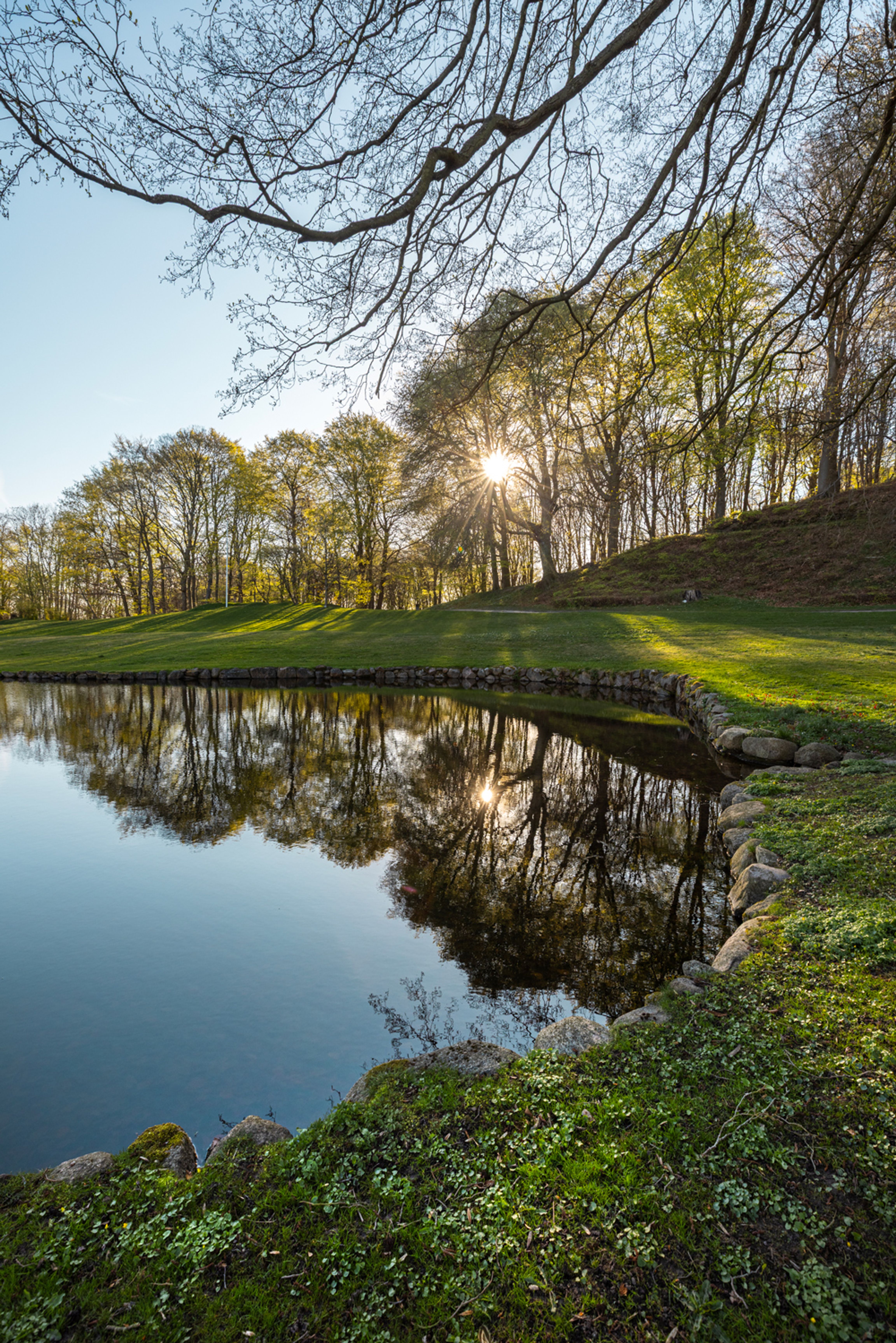Solrige refleksioner i søen i Liselund Park, omkranset af grønne træer og buske.