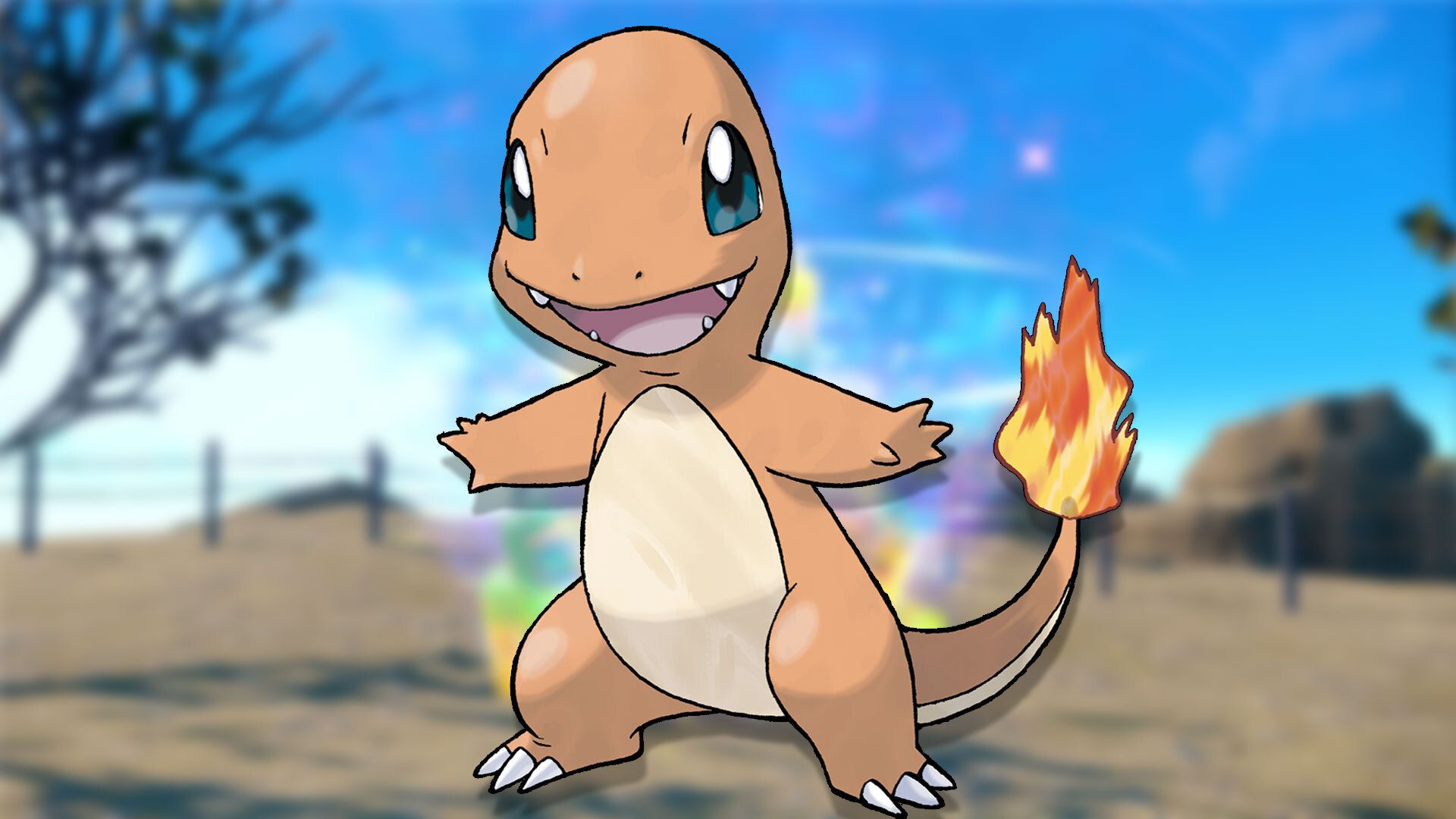 Authentic Pokemon Charmander