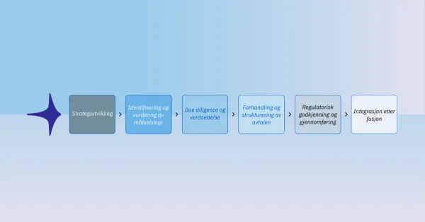 The Lifecycle of Mergers and Acquisitions (M&A)