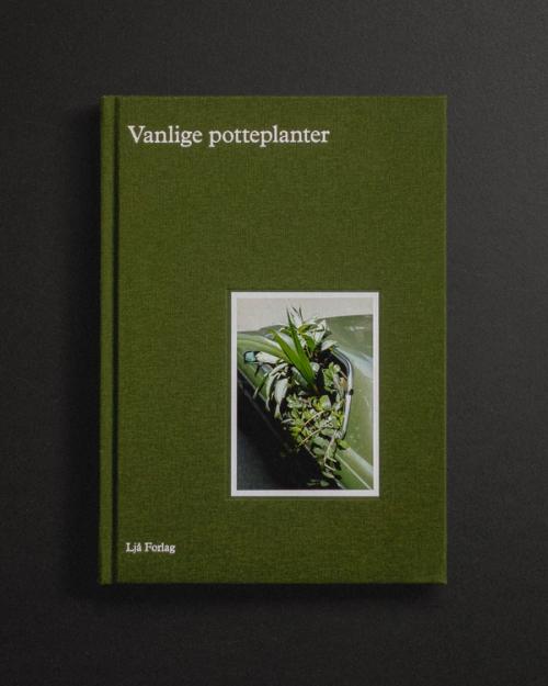 Vanlige potteplanter (Common Houseplants)