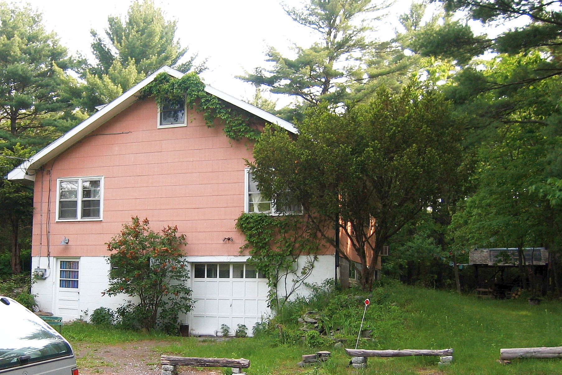 Big Pink by Jackie Fishman | Still Alive