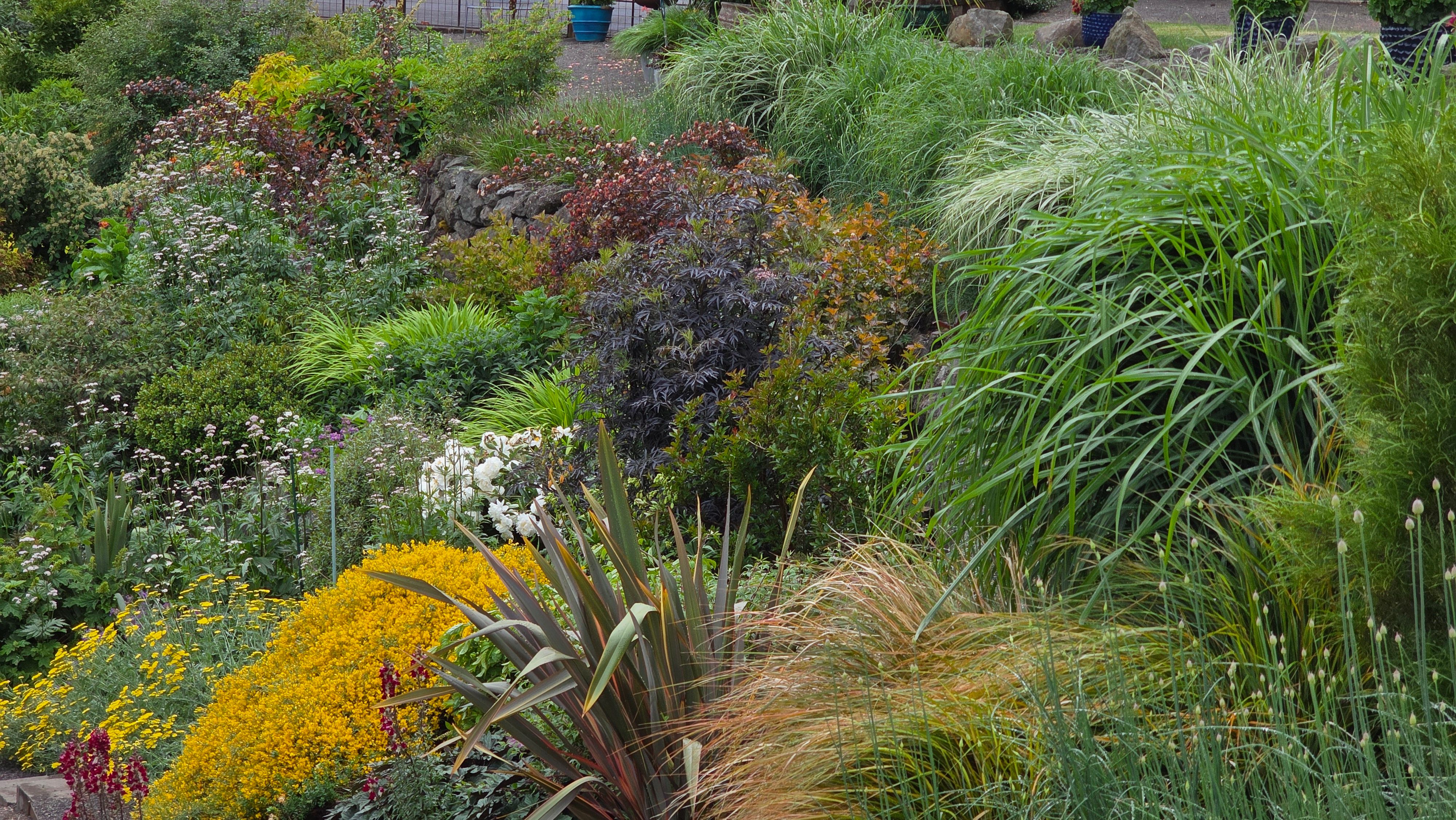 John and Kathleen's Garden