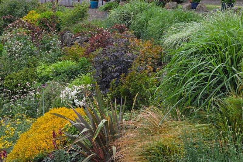 John and Kathleen's Garden