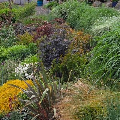 John and Kathleen's Garden