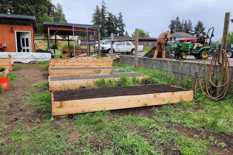 First beds