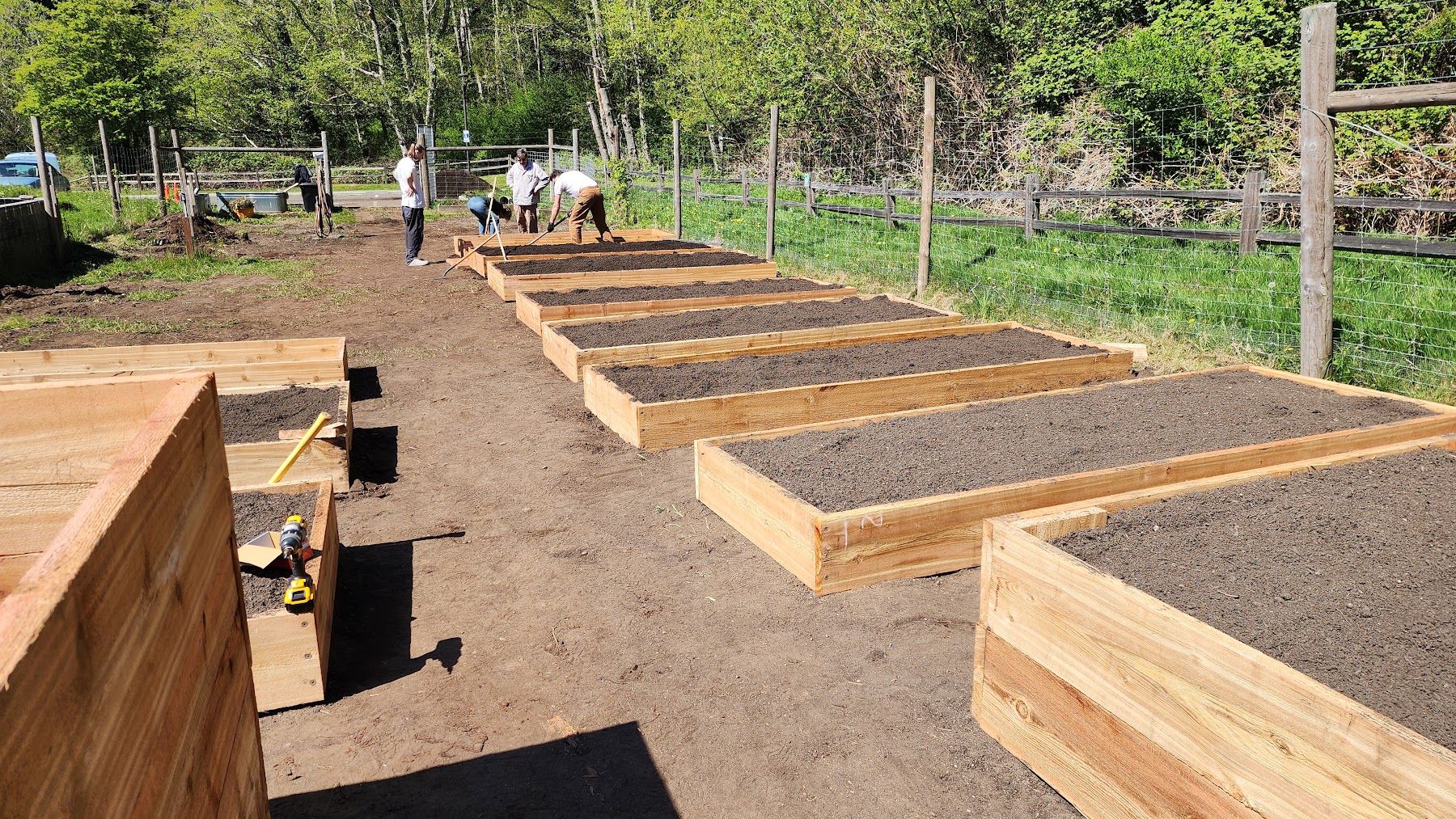 Raised bed building