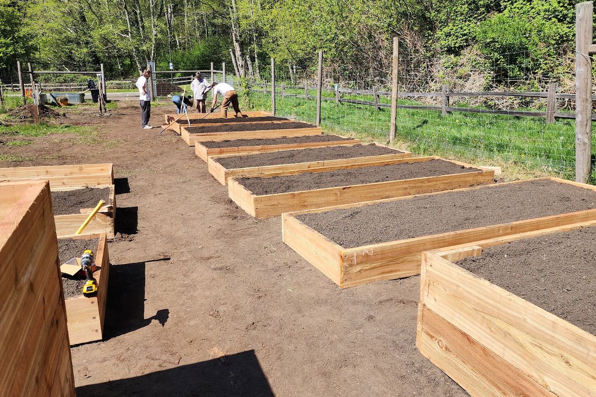 Raised bed building