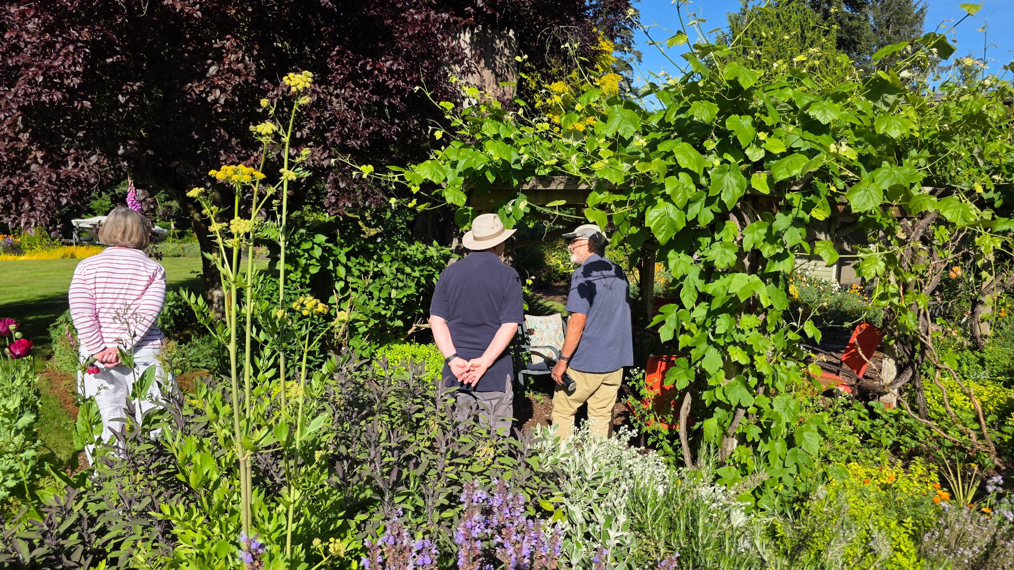 Nancy and Dick's garden