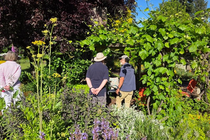 Nancy and Dick's garden