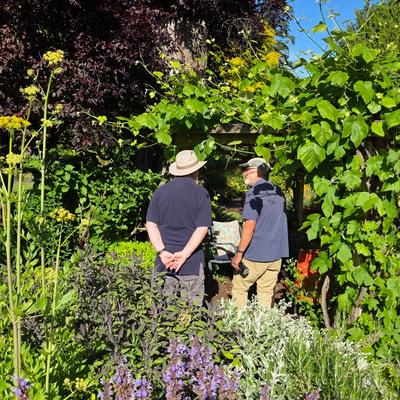 Nancy and Dick's garden