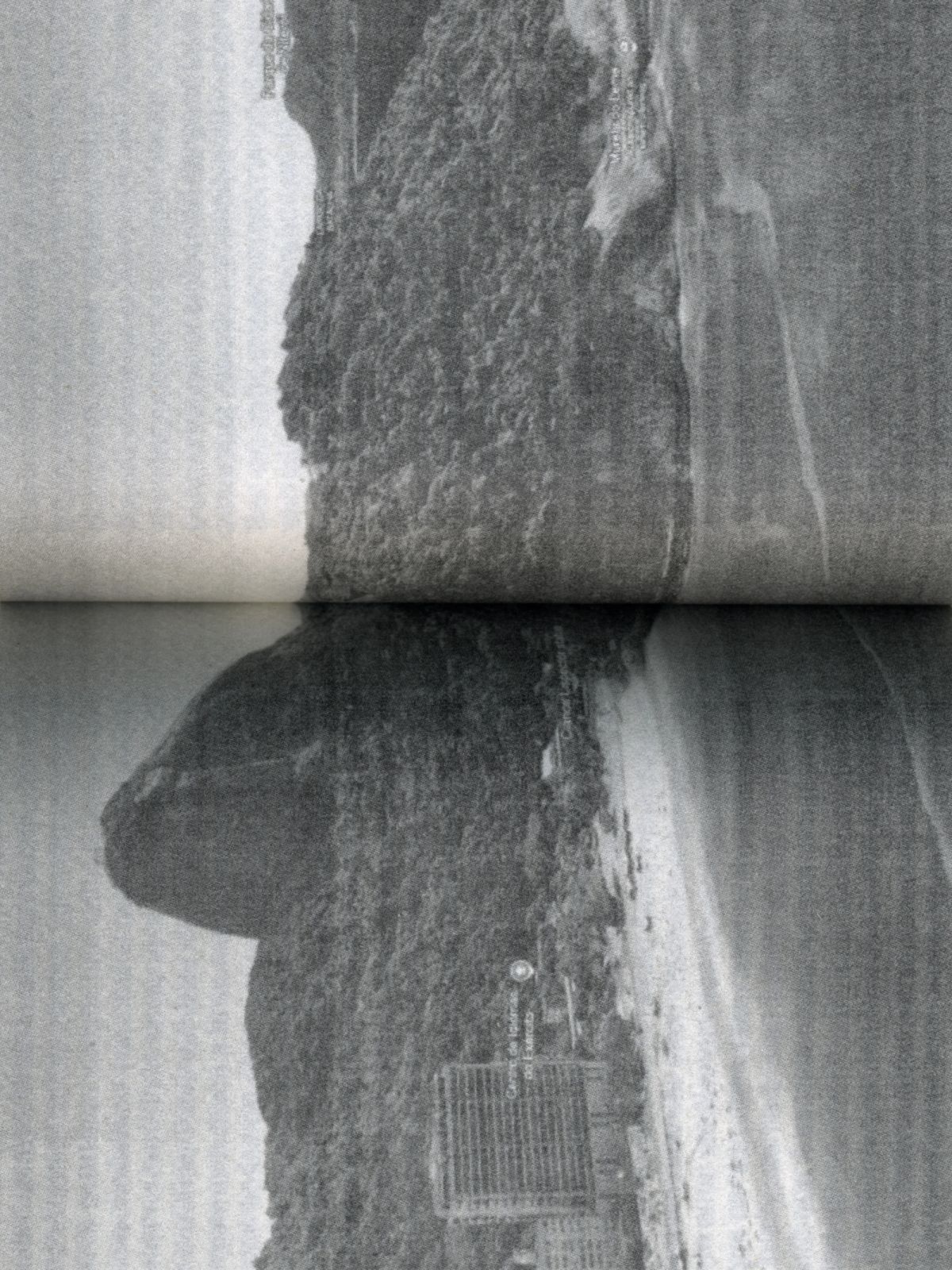 Media image