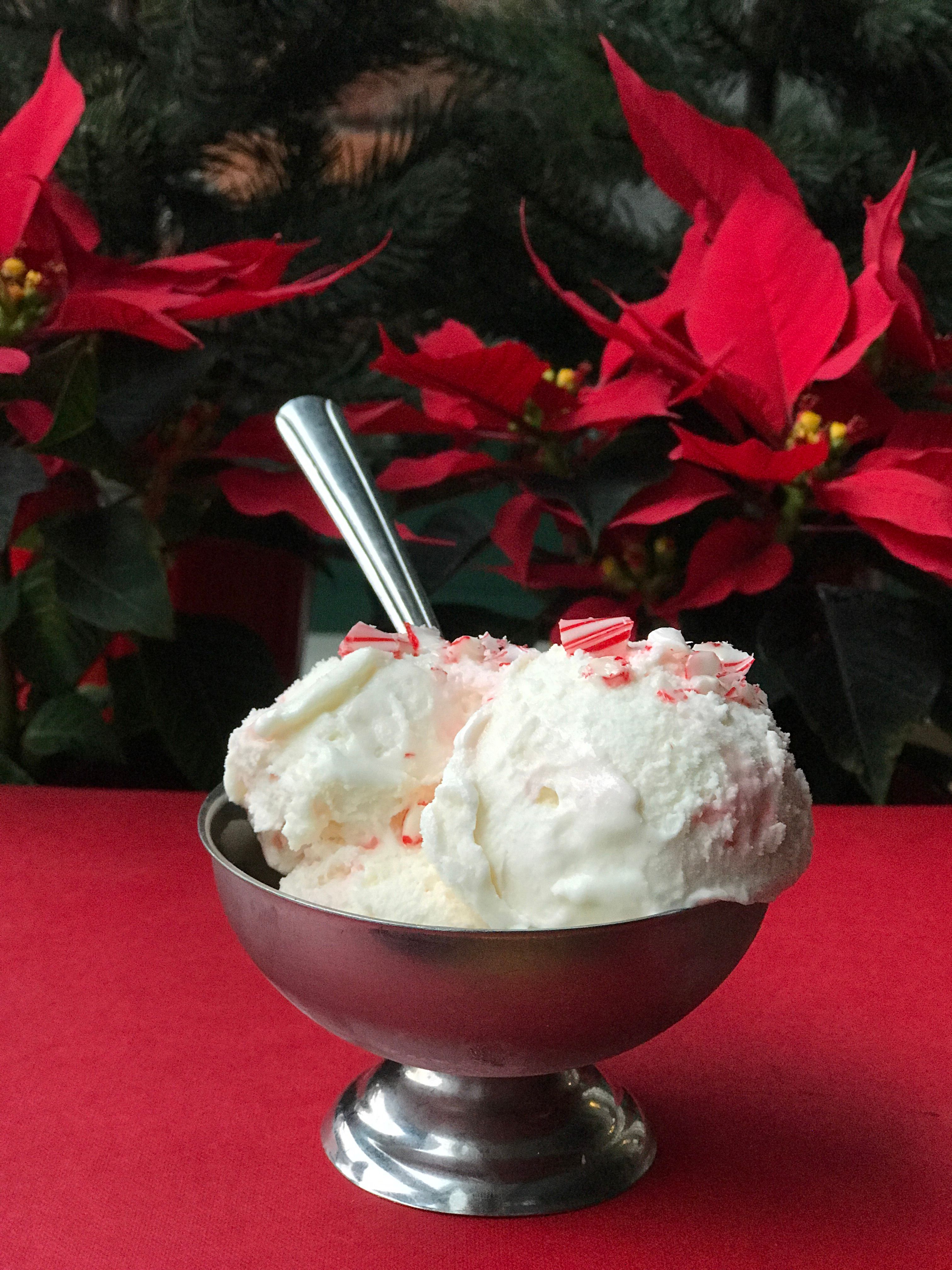 Peppermint Gelato Bowl