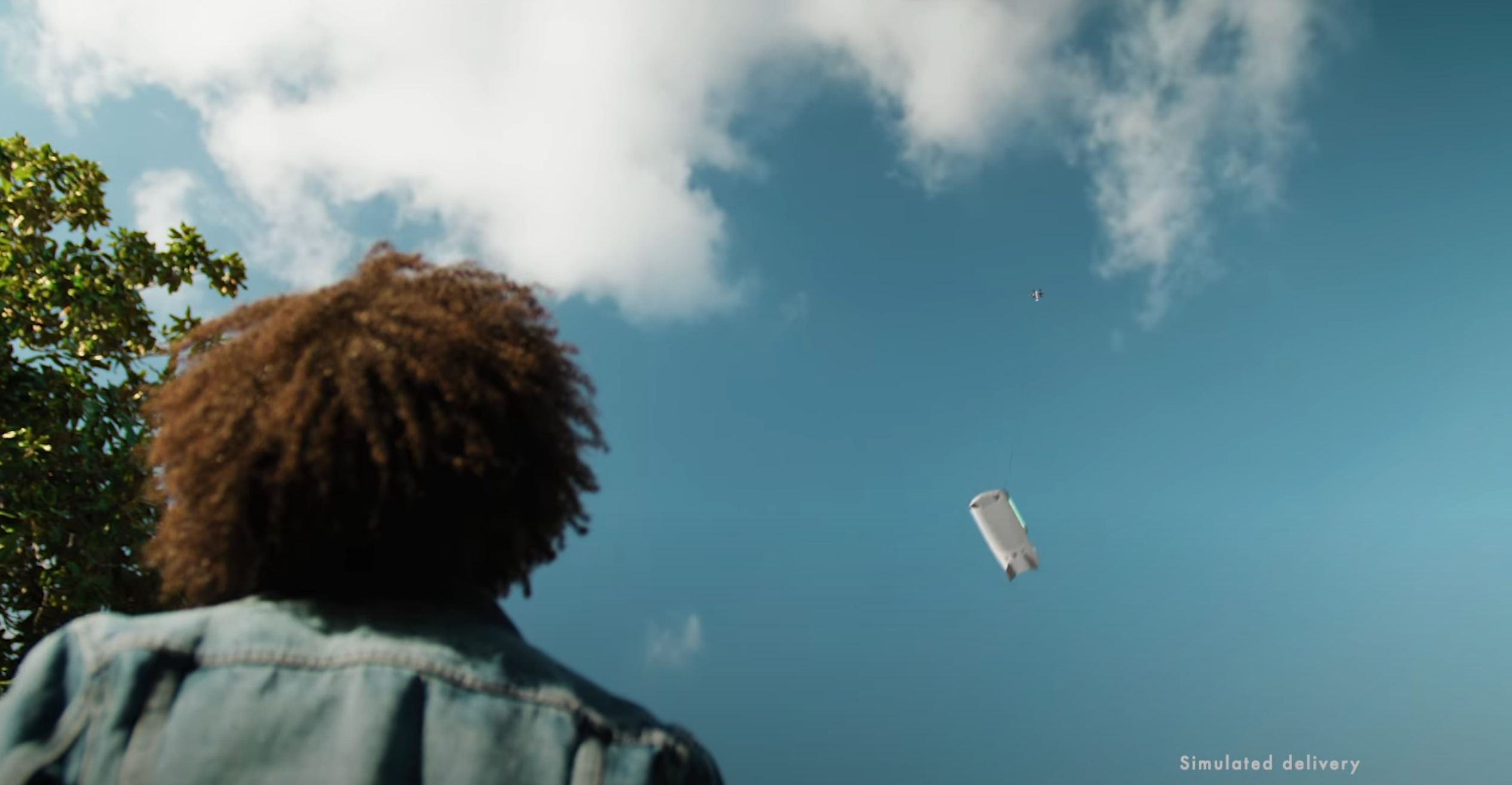 Zipline Sky
