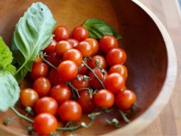 Tomatoes