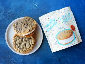 Molly Moon's Ice Cream Sandwich