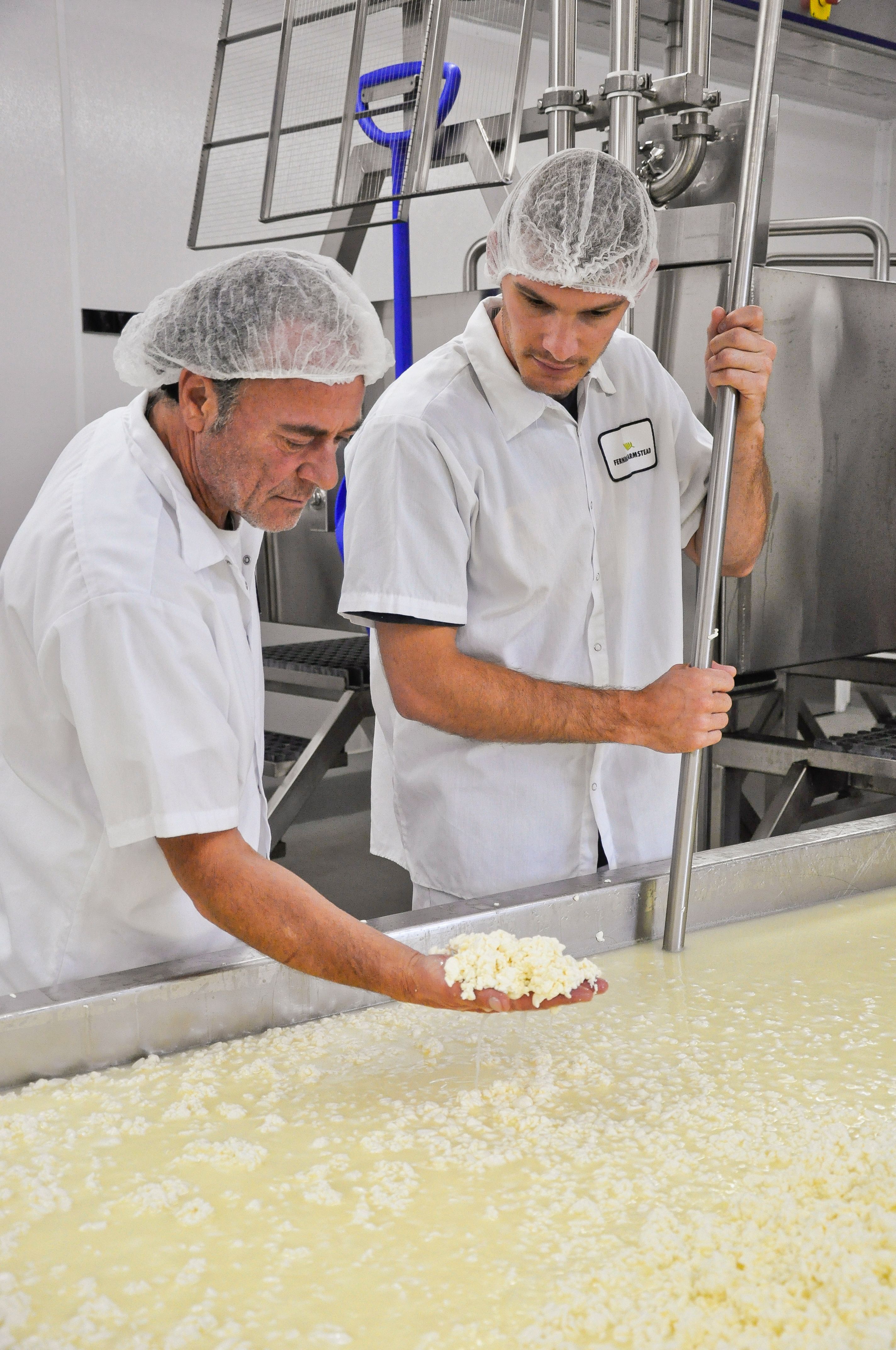 cheesemaking775