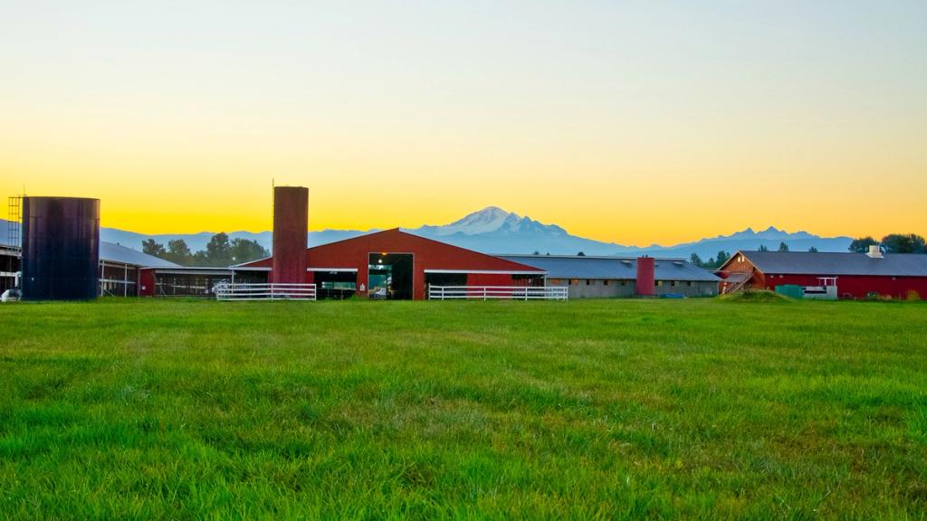 Sunrise at Ferndale Farmstead in Ferndale, WA