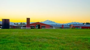 Sunrise at Ferndale Farmstead in Ferndale, WA