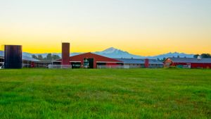 Sunrise at Ferndale Farmstead in Ferndale, WA