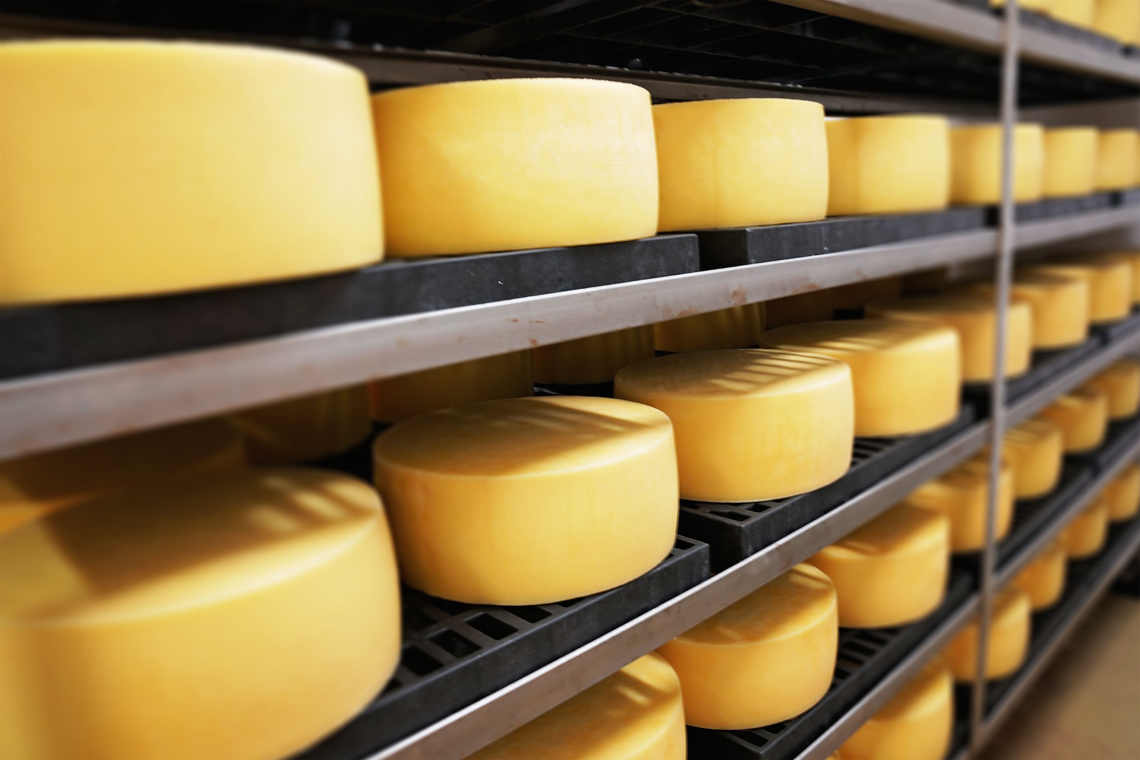 kasseri cheese