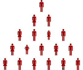 Volunteer fundraiser or bundler network