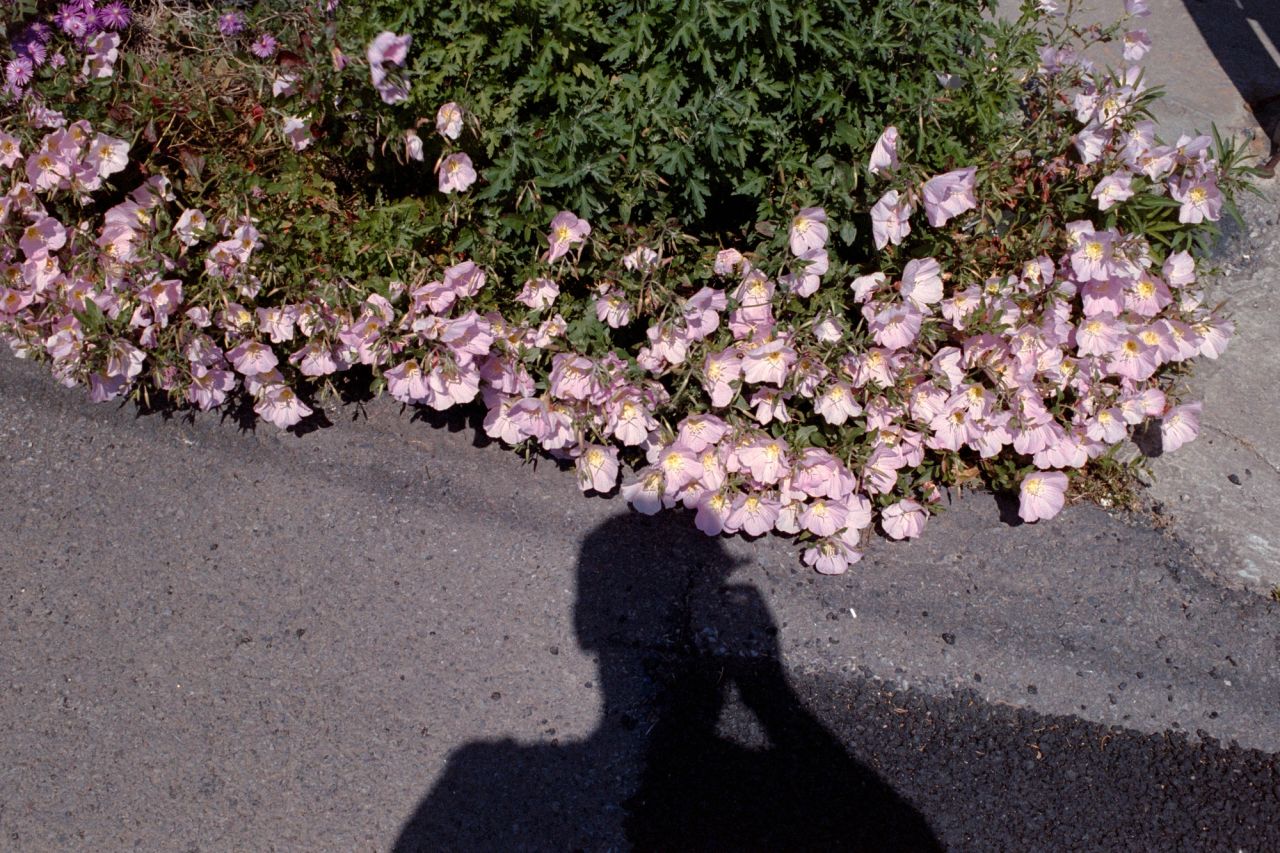About me - Image 2