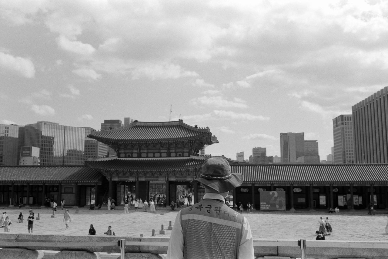 guard in the palace