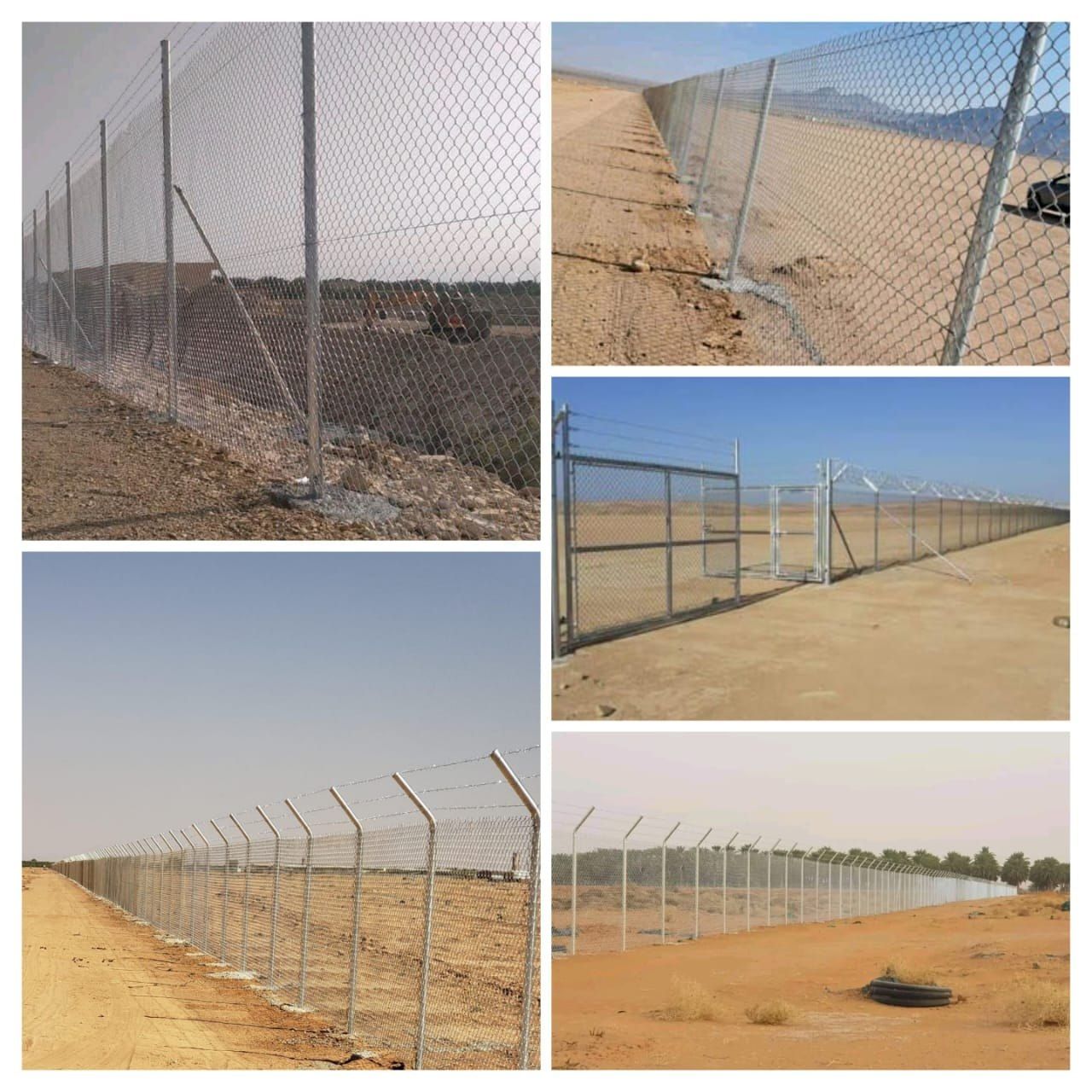 شبوك - 33
