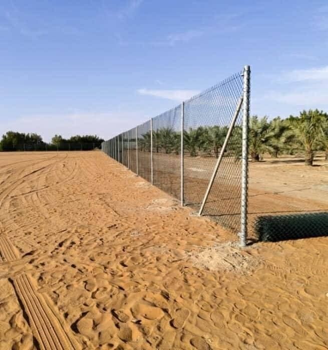 شبوك - 25