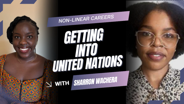 The UN Application Process Nobody Talks About: A Step-by-Step Guide to Success
