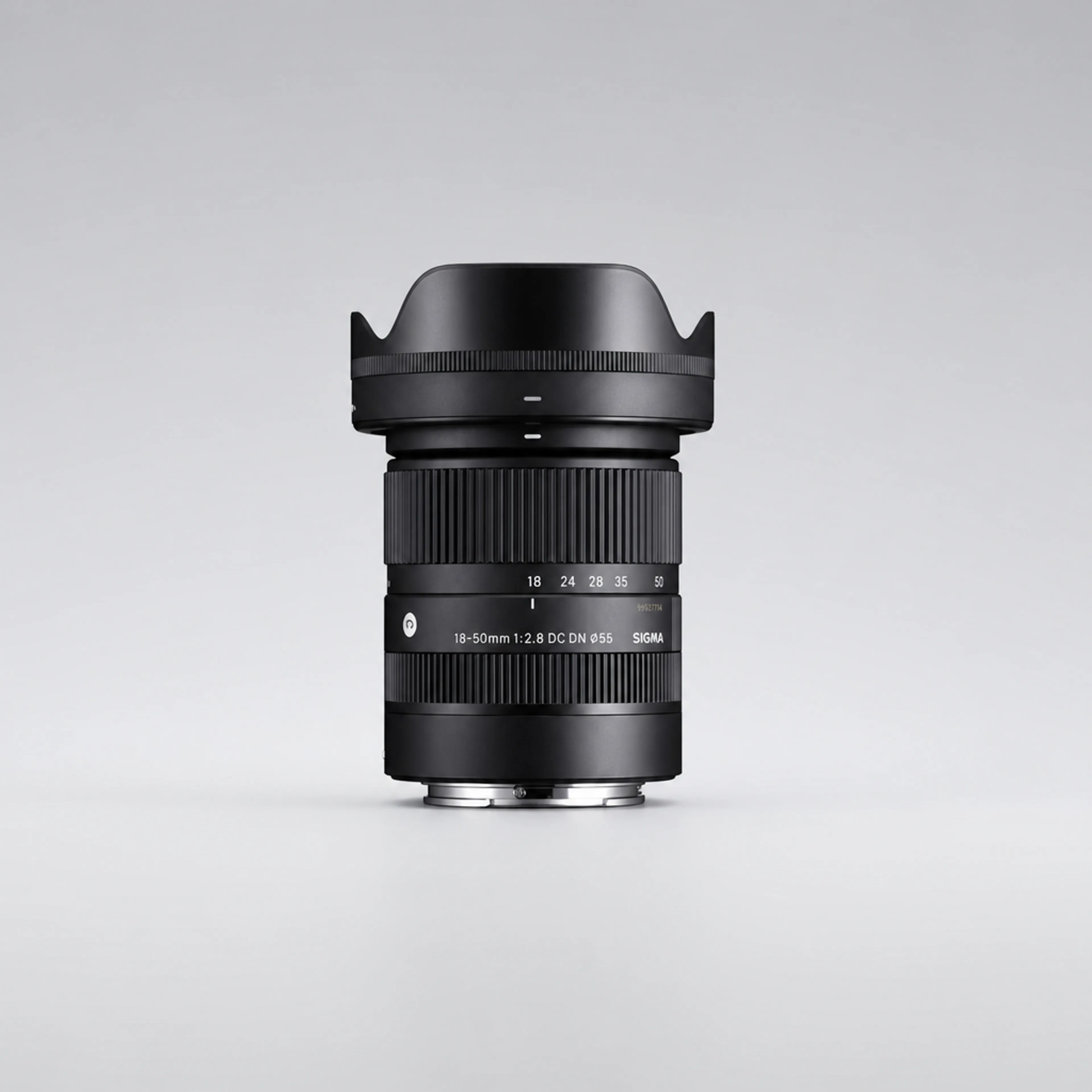 Sigma Art 18-50mm f/2.8 (APS-C)