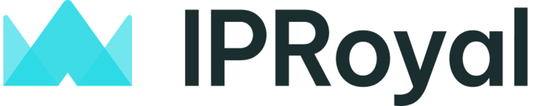 IPRoyal e204dfe5 3b5e 4bf7 a3b1 0420c7c2d1e5