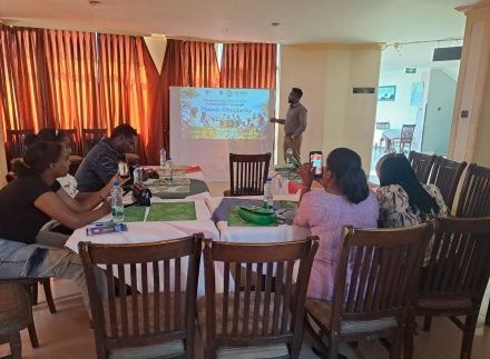 Strategic Consulting for Environmental Ventures