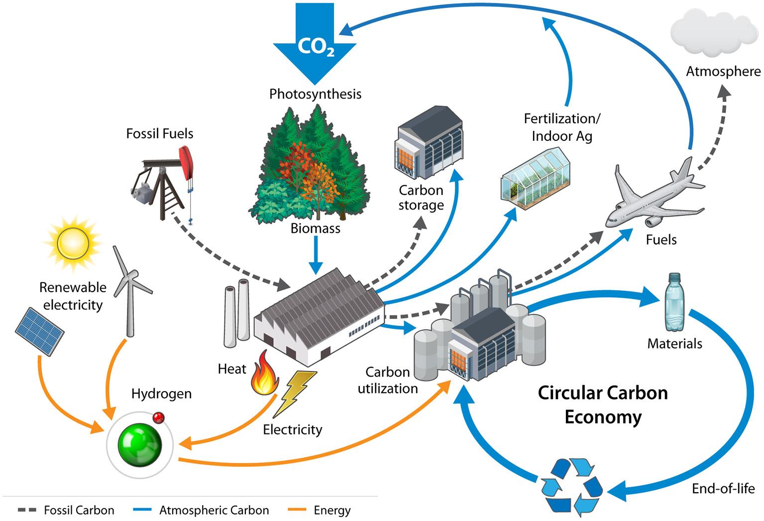 Bone Collection & Supply