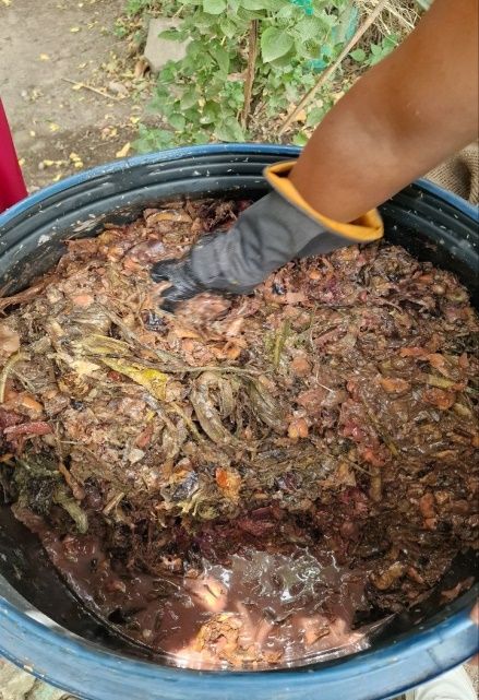 Turning Organic Waste into Soil Vitality