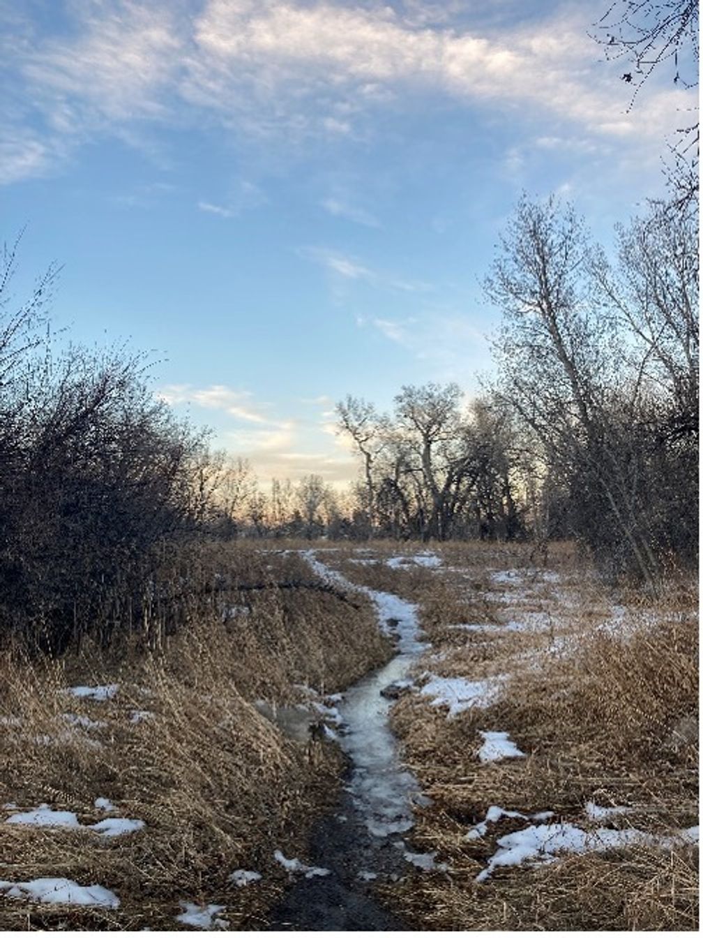 A field in winter with patches of snow.