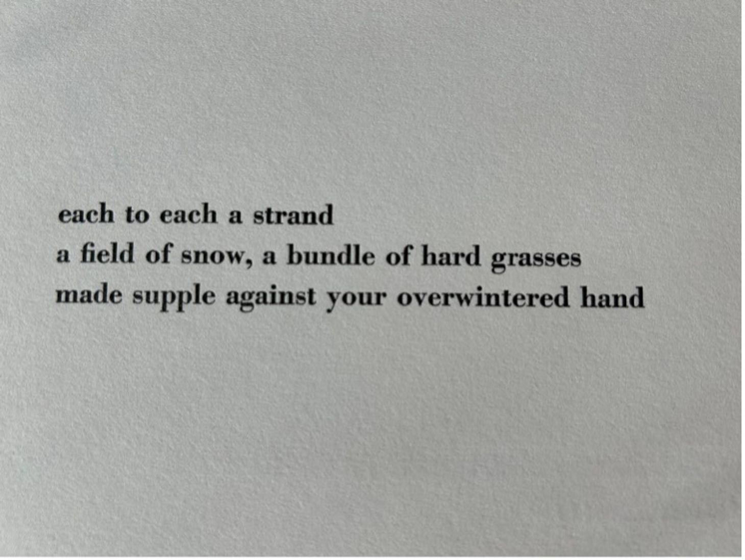 letterpressed card with the stanza: each to each strand / a field of snow, a bundle of hard grasses / made supple against your overwintered hand