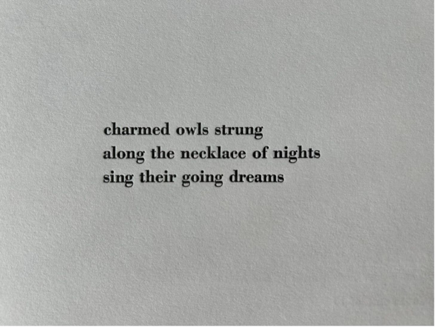 A letterpressed card with the lines: charmed owls strung / along the necklace of nights / sing their going dreams