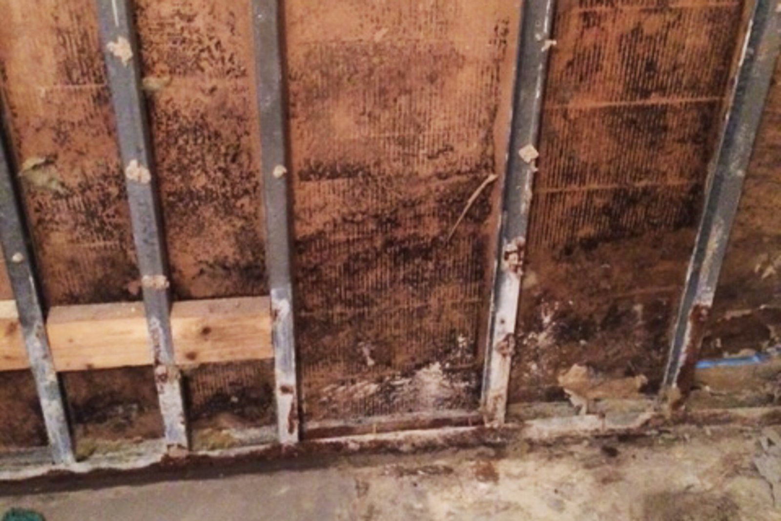 Mögelskada i badrum bakom kakel