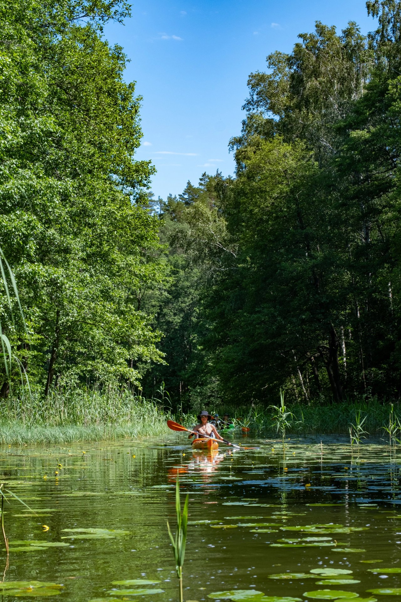 Chasingted Kayak — photo 9