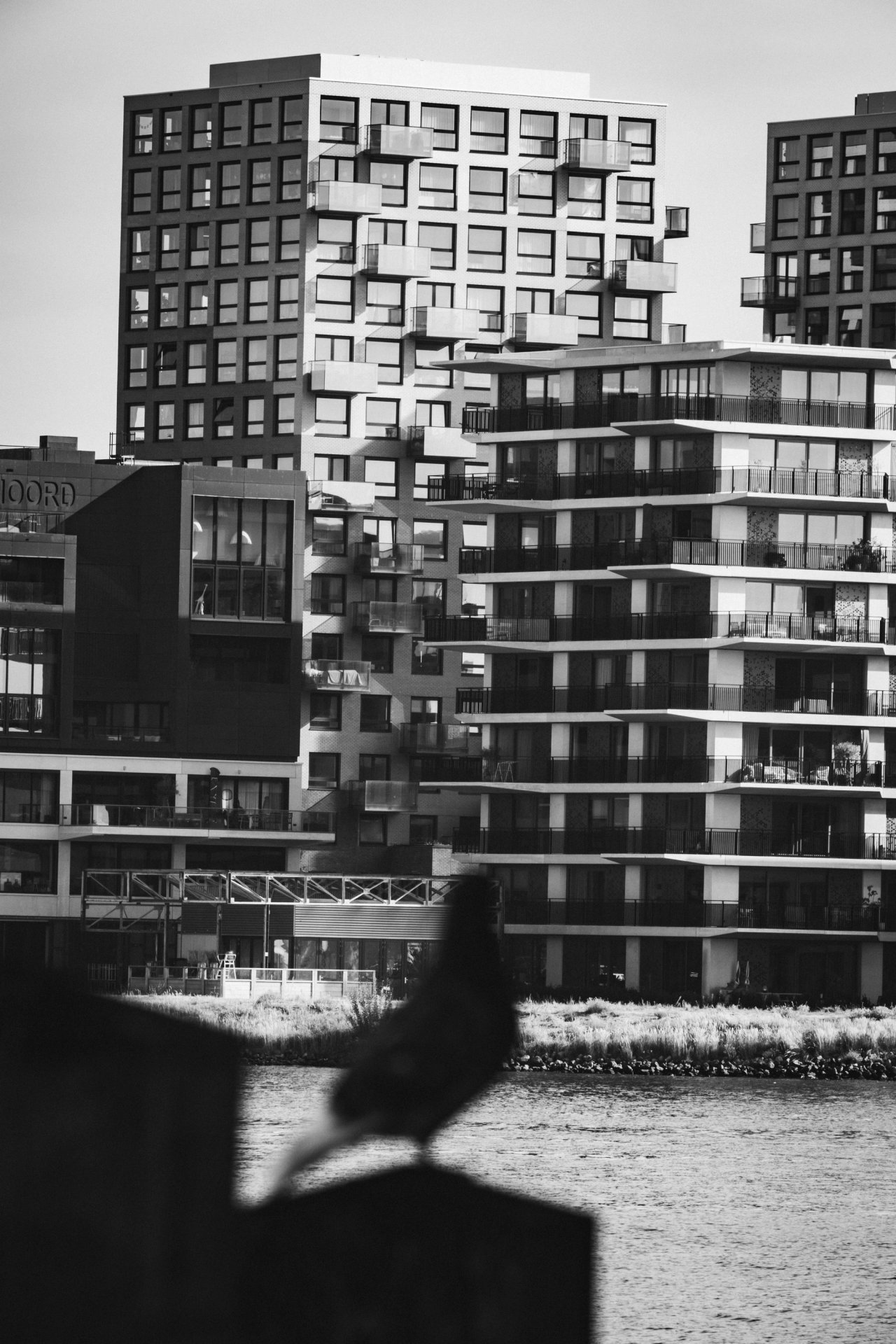 The Docks — photo 15